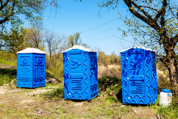 three blue cabines of chemical toilets in a park at sunny summer day. three blue cabines of chemical toilets in a park at sunny summer day.